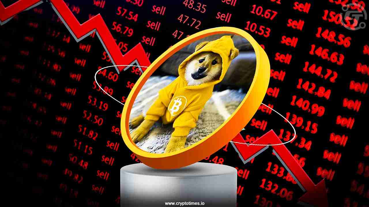 狗比特币,以社区为主导的纪念物在比特币区块链上运行,下降13.33%